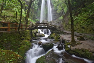 盘点上海辰山植物园景点介绍视频3月13日相关关键词有哪些