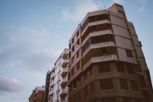 关于上海市干部相关关键词有哪些