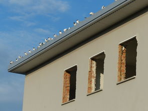 盘点上海房屋拆除相关关键词有哪些