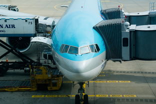 盘点上海机场飞机差点相撞相关关键词有哪些 盘点上海机场飞机差点相撞相关关键词有哪些