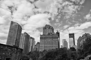 盘点上海地区分布图最新相关关键词有哪些
