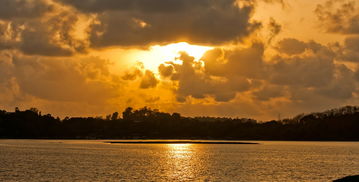 关于上海免费开放的景点相关关键词有哪些