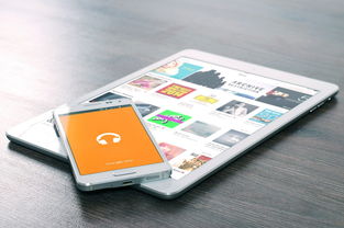 盘点上海的手机号码大全相关关键词有哪些