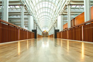 关于上海有哪几所艺术类大学相关关键词有哪些 关于上海有哪几所艺术类大学相关关键词有哪些