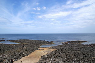 关于上海大众官网相关关键词有哪些 关于上海大众官网相关关键词有哪些