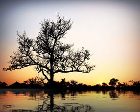 关于上海武康路风景相关关键词有哪些 关于上海武康路风景相关关键词有哪些
