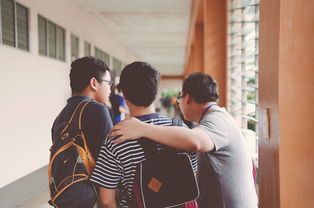 关于上海有什么学校大学生多相关关键词有哪些