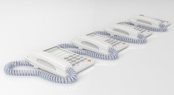 关于上海肿瘤医院咨询电话相关关键词有哪些