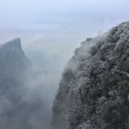 盘点上海 张家界相关关键词有哪些