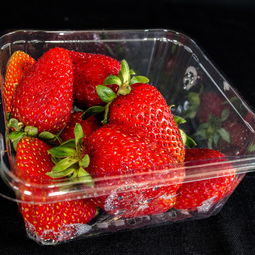 关于上海草莓相关关键词有哪些