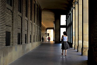 盘点石家庄上海相关关键词有哪些