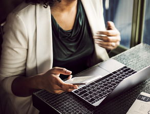 关于上海it培训机构排名相关关键词有哪些