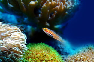 关于上海水族馆开放时间相关关键词有哪些