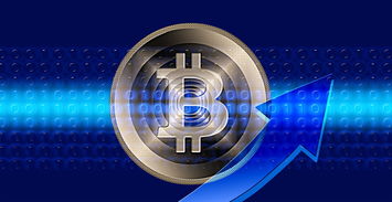 盘点上海易娱网络科技有限公司相关关键词有哪些