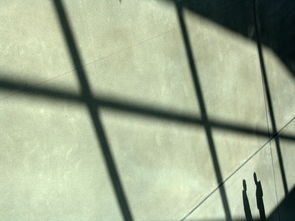 盘点普华永道上海相关关键词有哪些