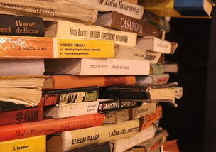 盘点上海初级会计证书领取相关关键词有哪些