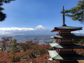 盘点上海普陀山一日游相关关键词有哪些