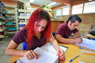 盘点上海可以参观的大学相关关键词有哪些