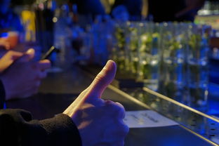 盘点上海之行感受相关关键词有哪些 盘点上海之行感受相关关键词有哪些