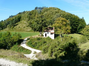 盘点上海辰山植物园怎么走相关关键词有哪些