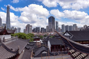 关于上海市临港区相关关键词有哪些
