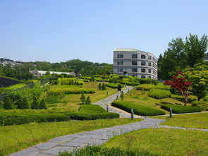 盘点上海理工大学环境与建筑学院相关关键词有哪些