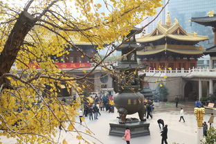 关于上海知也禅寺相关关键词有哪些