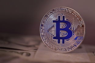 关于谷歌广告上海有限公司相关关键词有哪些