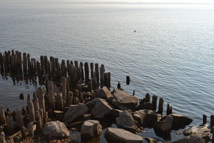 关于世界上海拔最低的湖泊相关关键词有哪些 关于世界上海拔最低的湖泊相关关键词有哪些