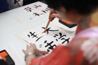 盘点美丽的上海作文相关关键词有哪些