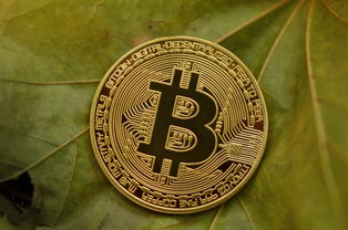 盘点上海最低交金相关关键词有哪些