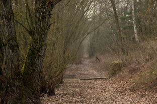 关于现在墓地价格上海相关关键词有哪些