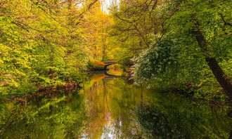 盘点上海奉贤海湾森林公园相关关键词有哪些