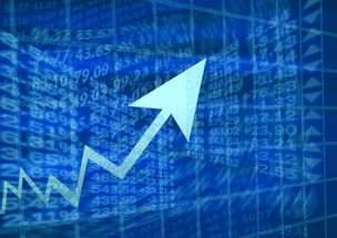 盘点今日上海黄金交易所价格相关关键词有哪些