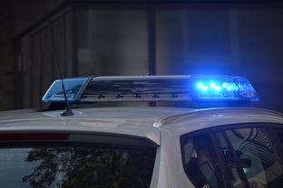 盘点上海警相关关键词有哪些