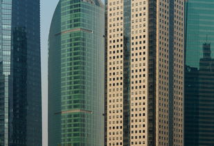 盘点上海落户要多少分相关关键词有哪些