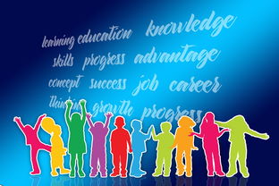 盘点上海教育人才相关关键词有哪些